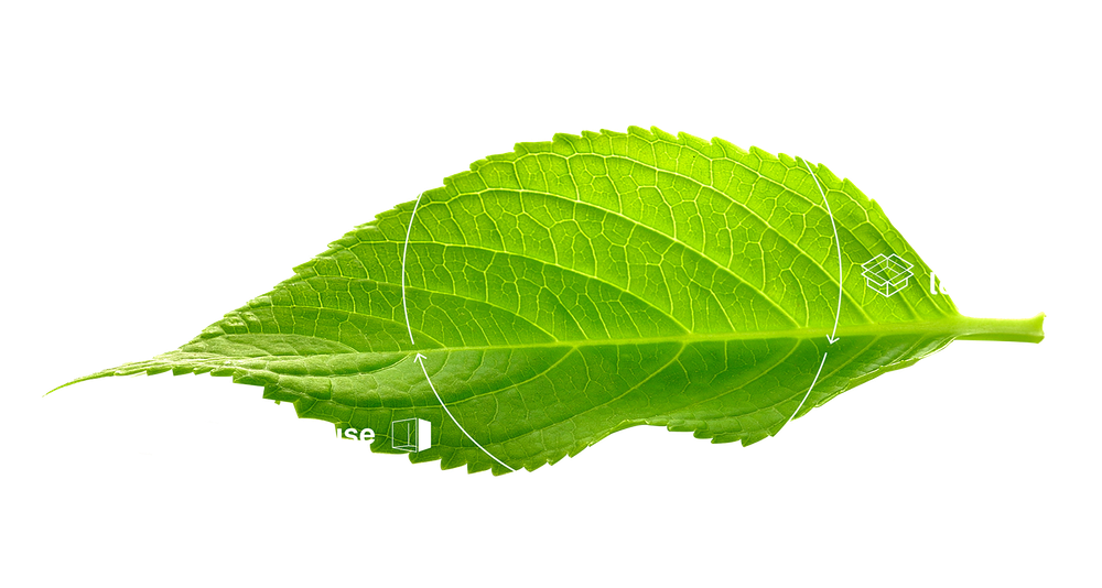 Neutral Way - Lifecycle Leaf