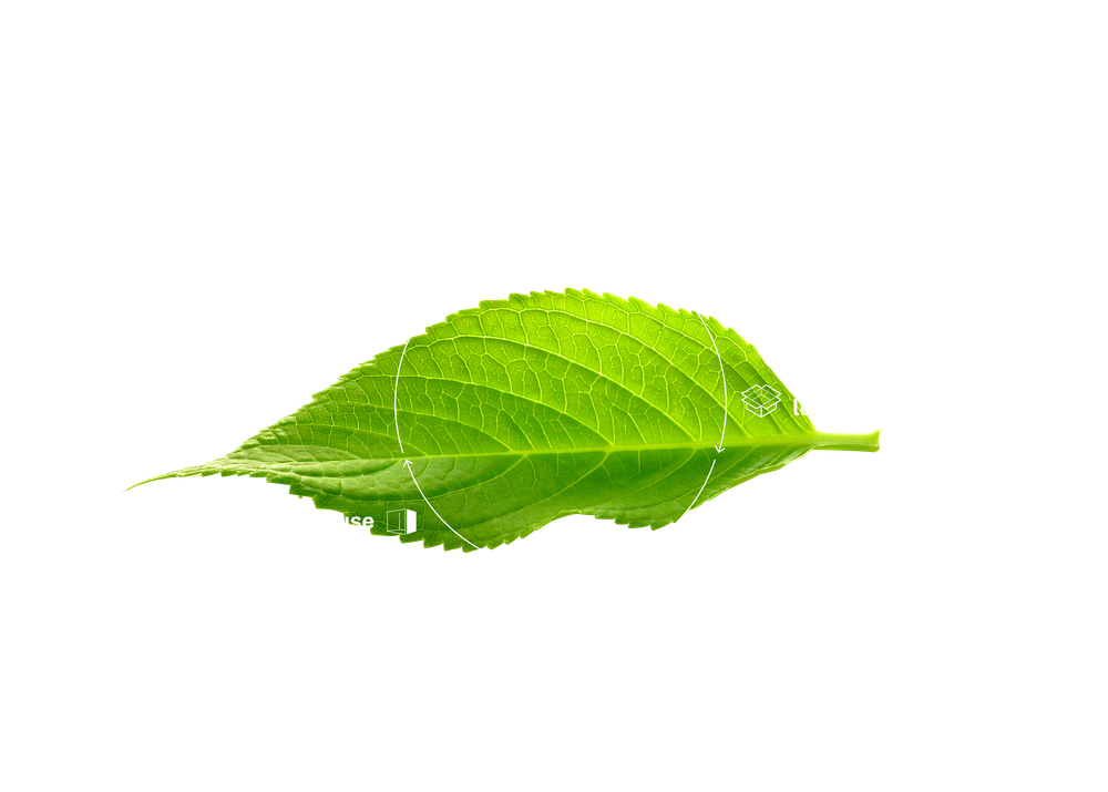 Neutral Way - Lifecycle Leaf
