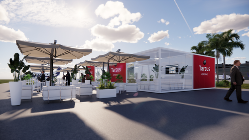 Product 19072 Tarsus Aerospace_Vip Area 05.jpg