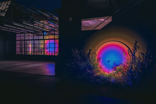 NIKE HOLISTIC