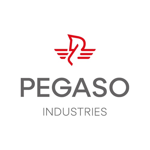 Pegaso
