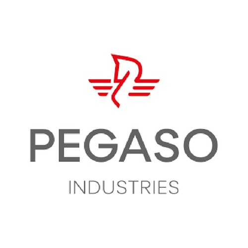 Pegaso